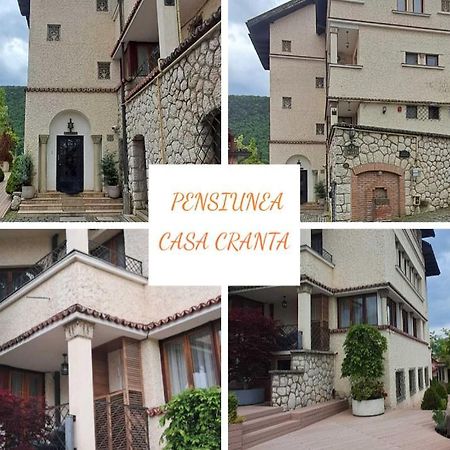 Pensiunea Casa Cranta Braşov Eksteriør billede